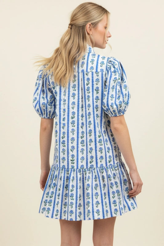 Floral Stripe Puffed Sleeve Mini Dress - Blue