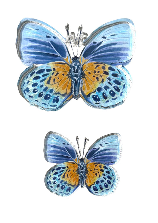 Autumn Blue Butterfly Acrylic Art Block