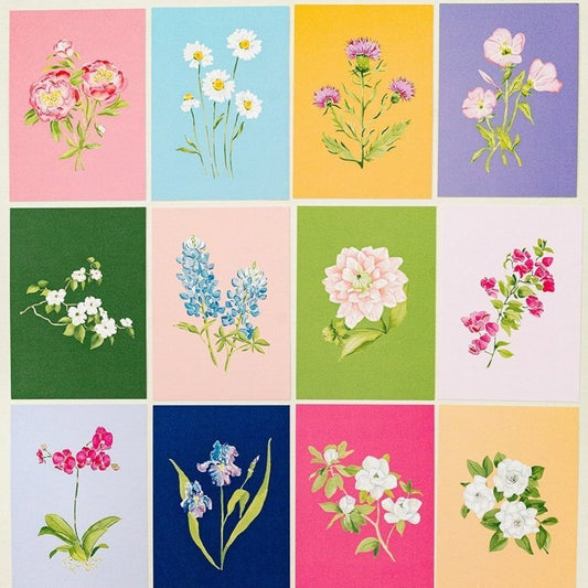 Colorful Botanical 5x7 Print - Rose