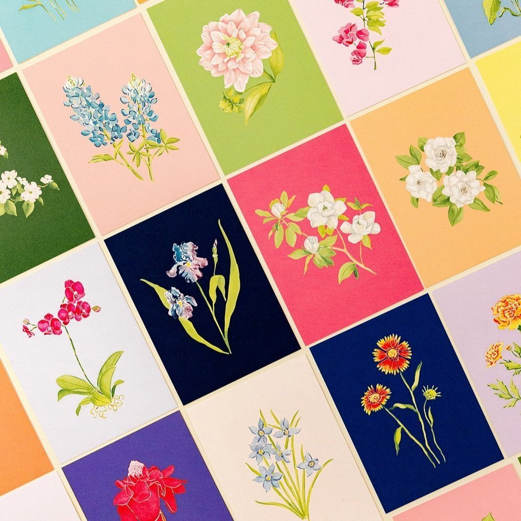Colorful Botanical 5x7 Print - Rose