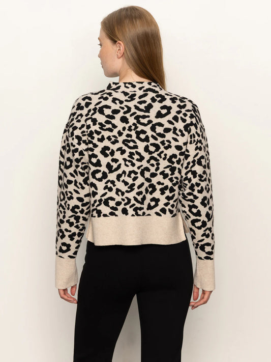 Soft Touch Popover - Spots