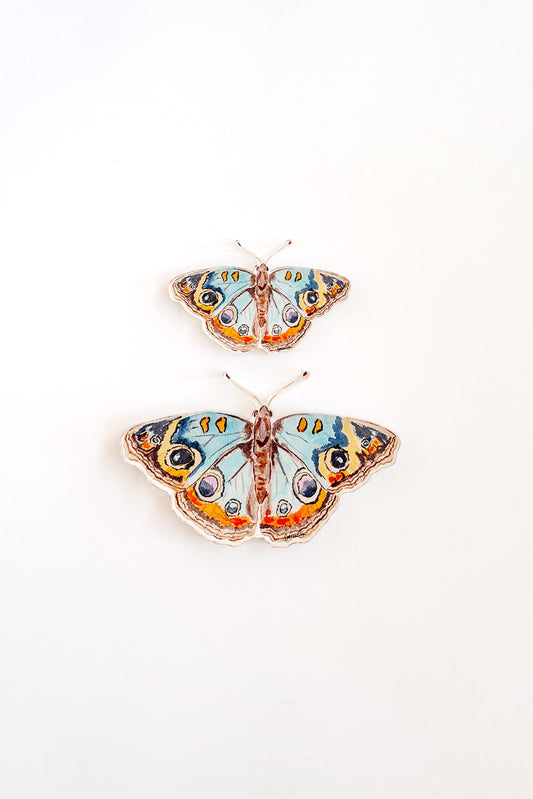 Blue and Orange Butterfly Acrylic Art Block