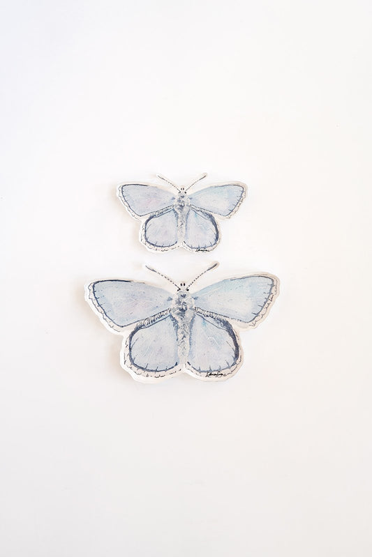 Blue Butterfly Acrylic Art Block