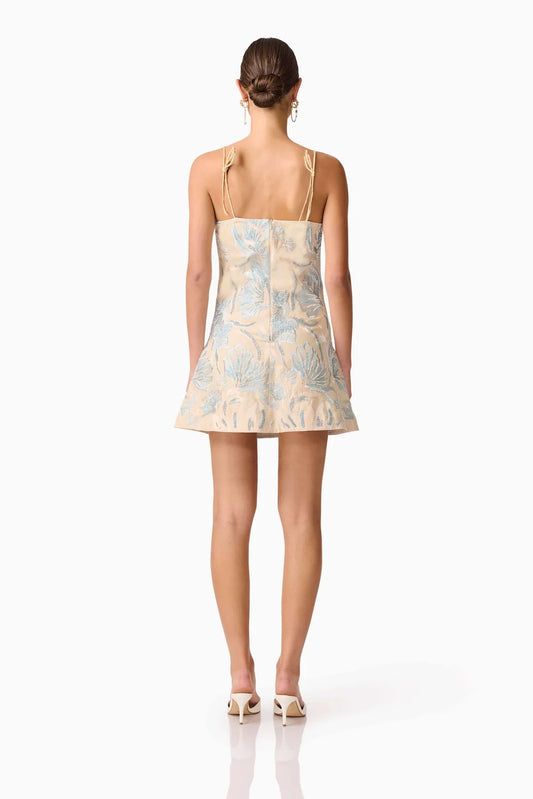 Nia Embroidered Mini Dress in Beige