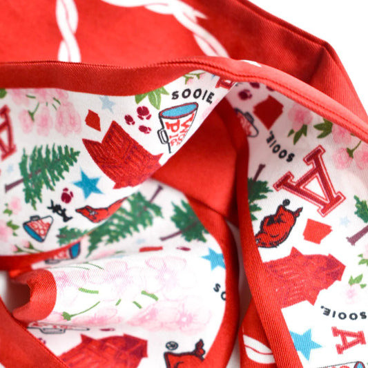Saturday Silks - Arkansas Razorbacks Skinny Scarf
