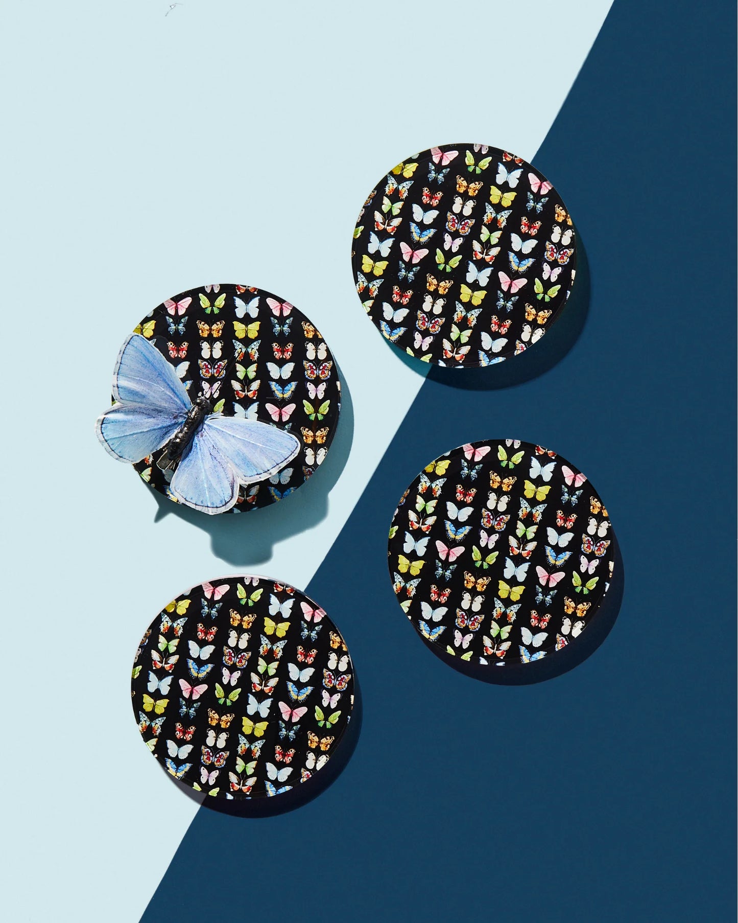 Tart By Taylor - MONARCH COASTER