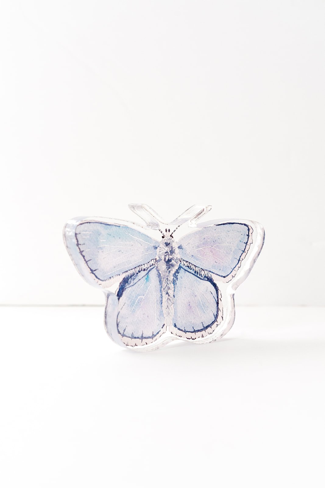 Blue Butterfly Acrylic Art Block