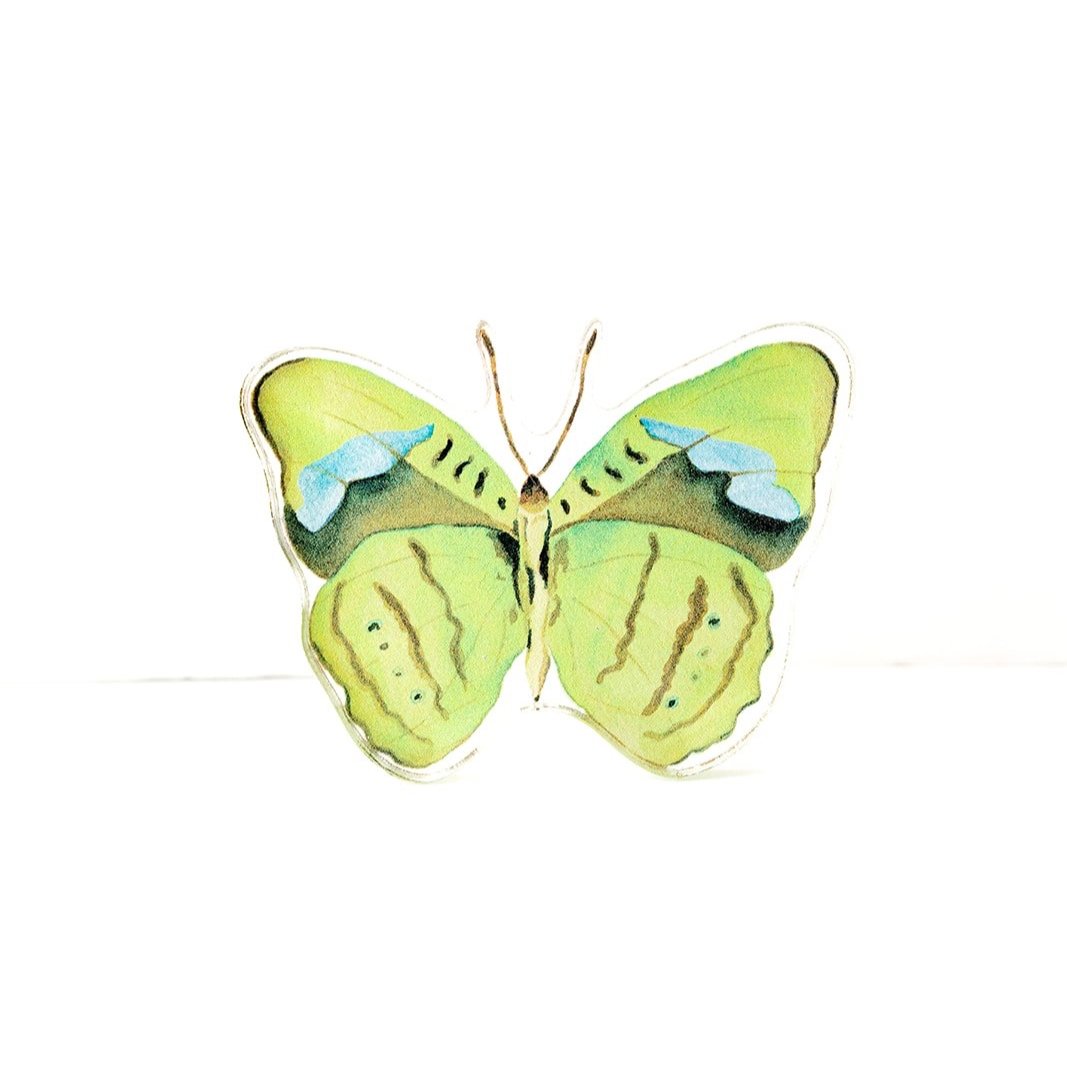 Green Butterfly Acrylic Art Block