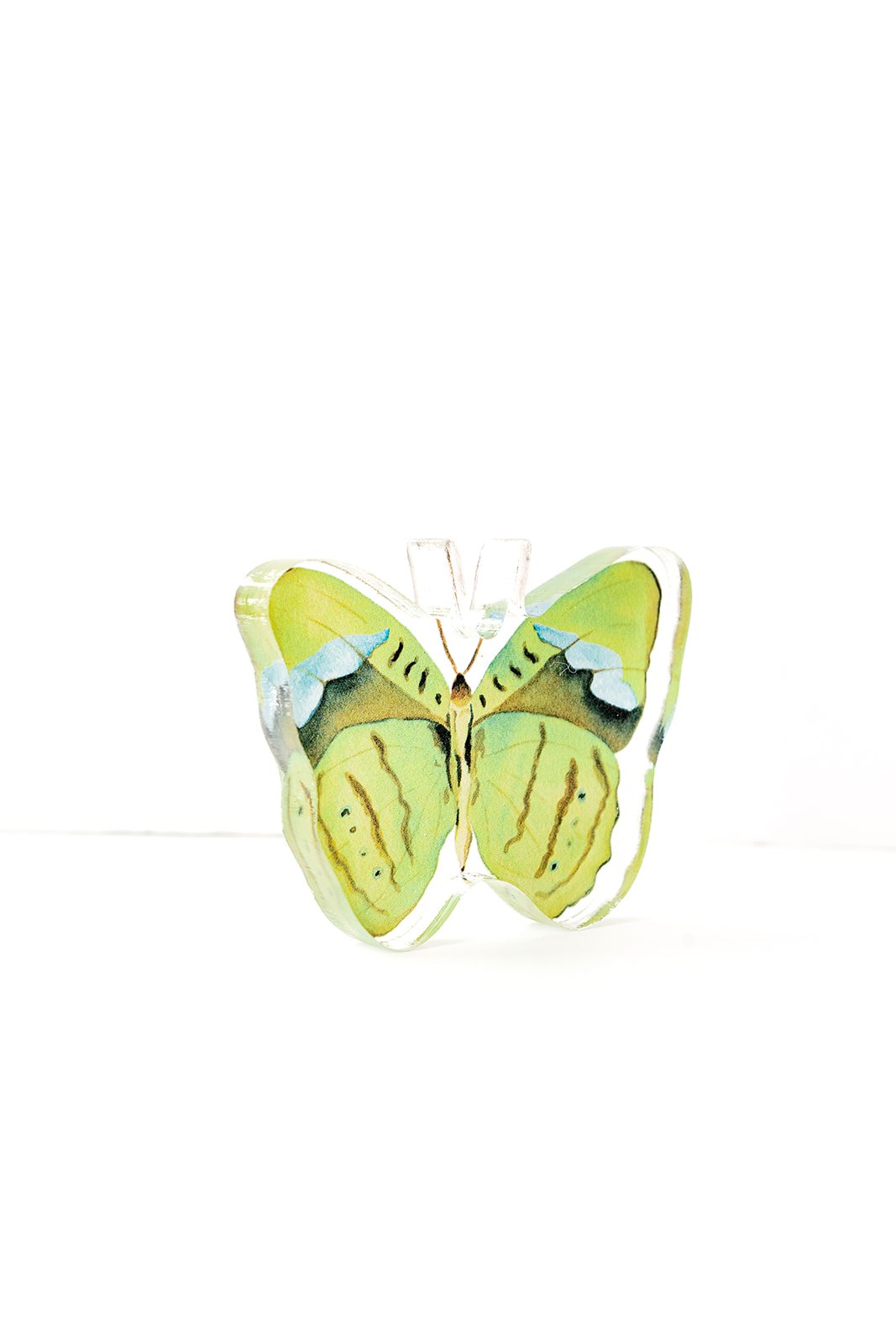 Green Butterfly Acrylic Art Block