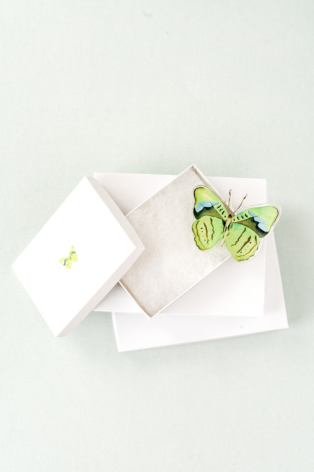 Green Butterfly Acrylic Art Block