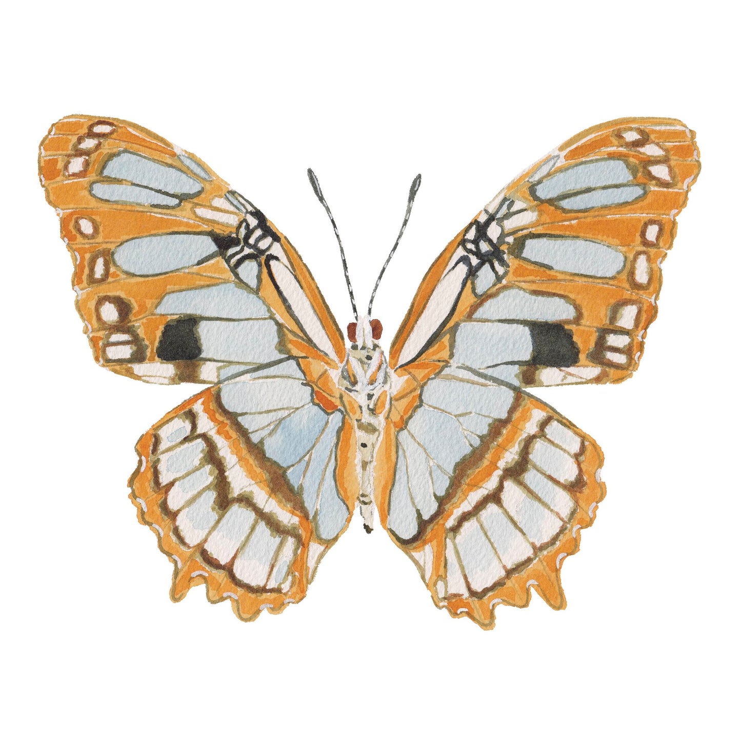 Orange Butterfly Acrylic Art Block