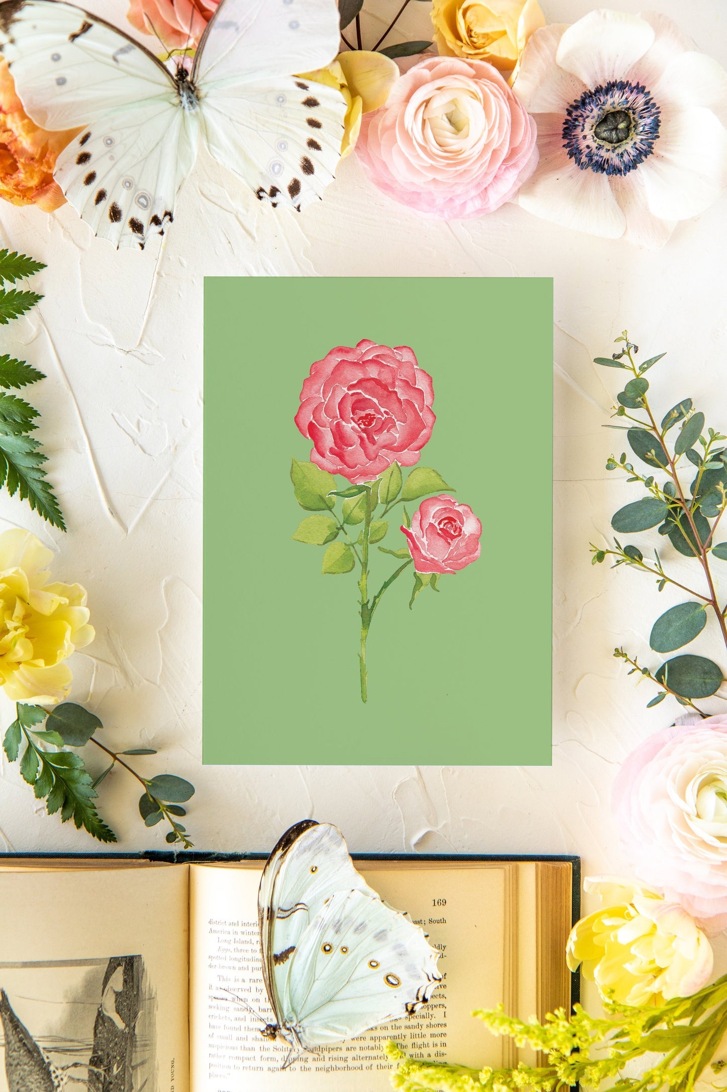 Colorful Botanical 5x7 Print - Rose