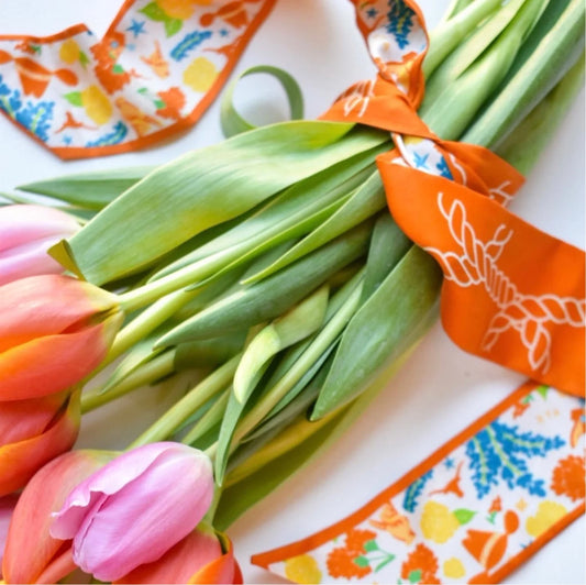 Saturday Silks - Texas Longhorns Skinny Scarf