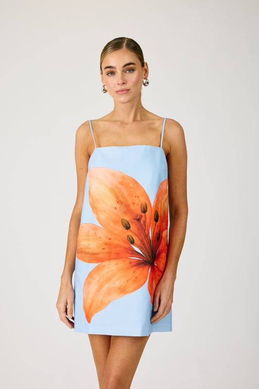 Avah Mini Dress - Blue & Orange