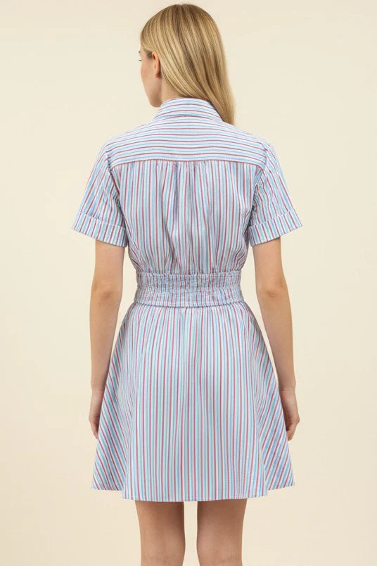 Striped A-Line Button Down Mini Dress - Blue/Red