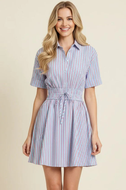 Striped A-Line Button Down Mini Dress - Blue/Red