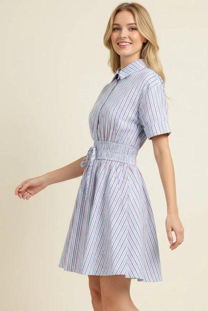 Striped A-Line Button Down Mini Dress - Blue/Red
