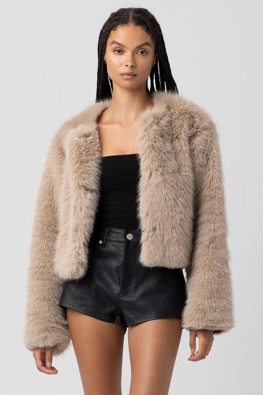 Prime Asset Jacket