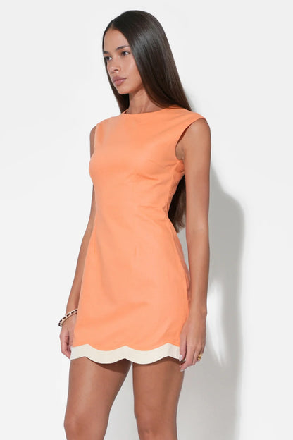 Melody Scalloped Hem Sheath Dress - Tangerine/Cream