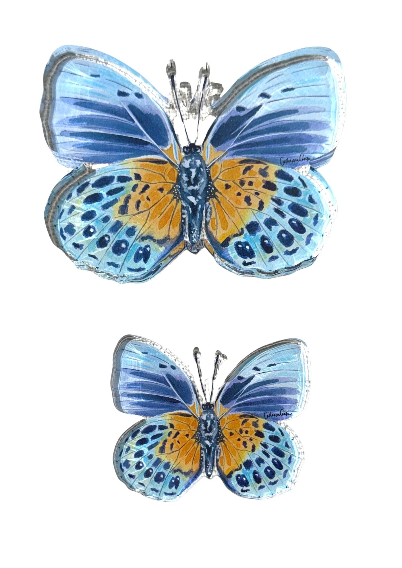 Autumn Blue Butterfly Acrylic Art Block