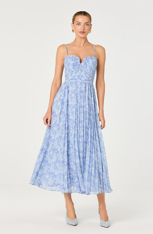 Bayley Floral Pleated Maxi Dress - Blue Floral