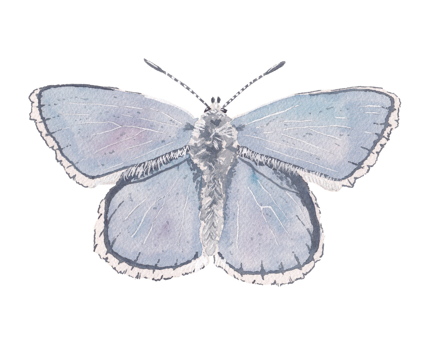 Blue Butterfly Acrylic Art Block
