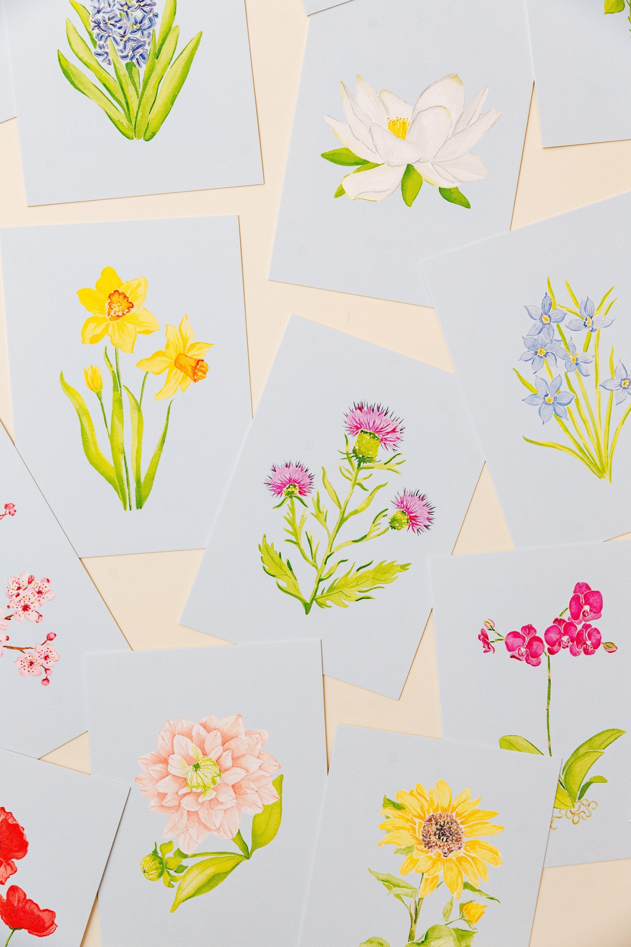 Blue Botanical 5x7 Prints - Rose