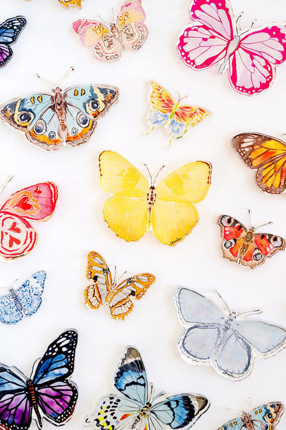 Blue Multi Butterfly Acrylic Art Block