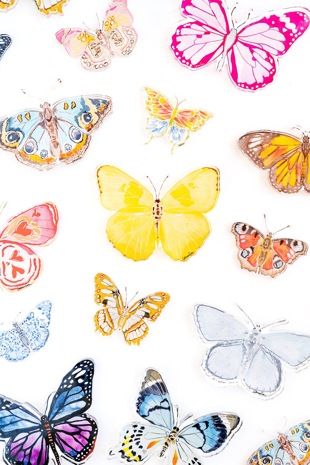 Monarch Butterfly Acrylic Art Block