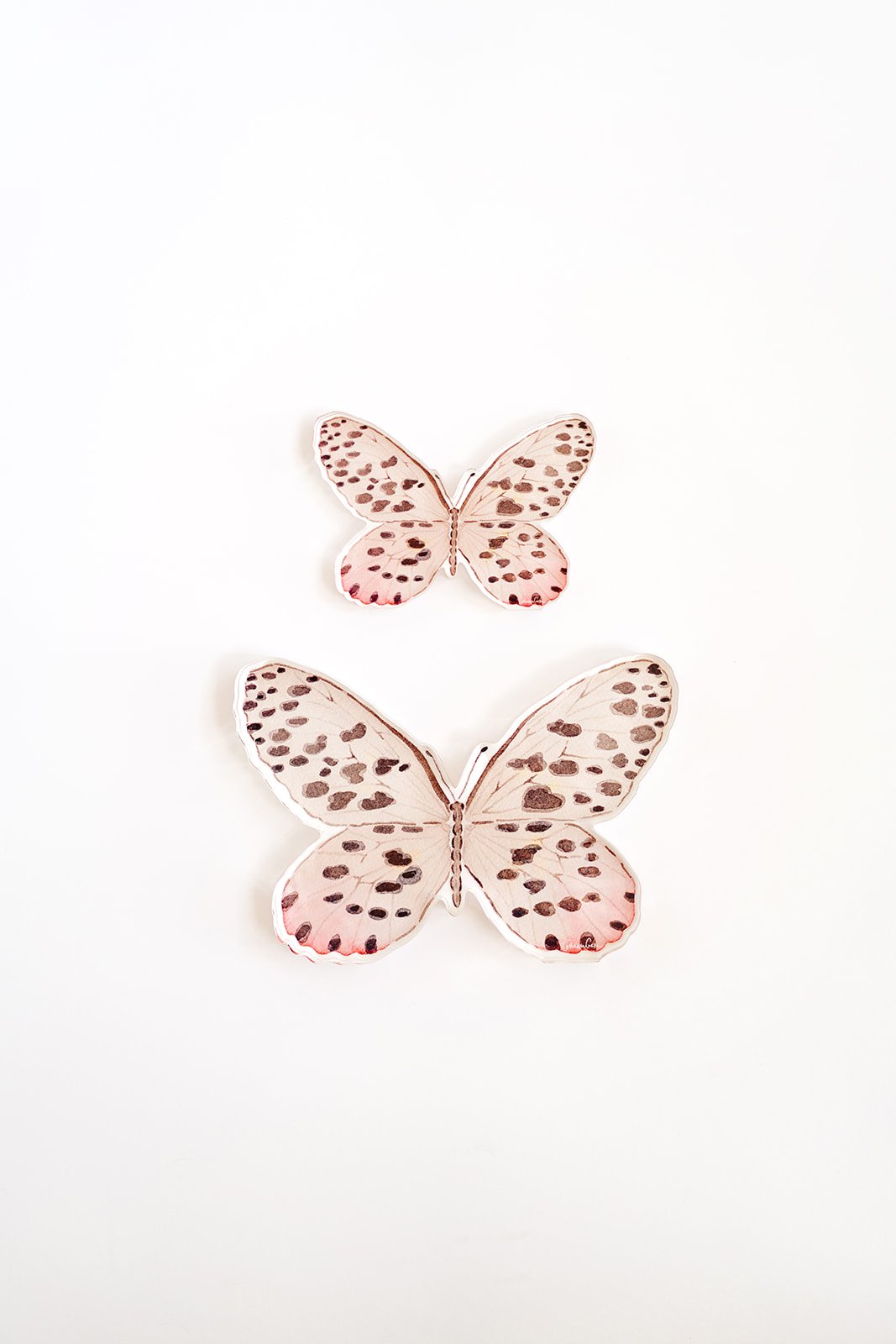 Neutral Spotted Butterfly Acrylic Art Block