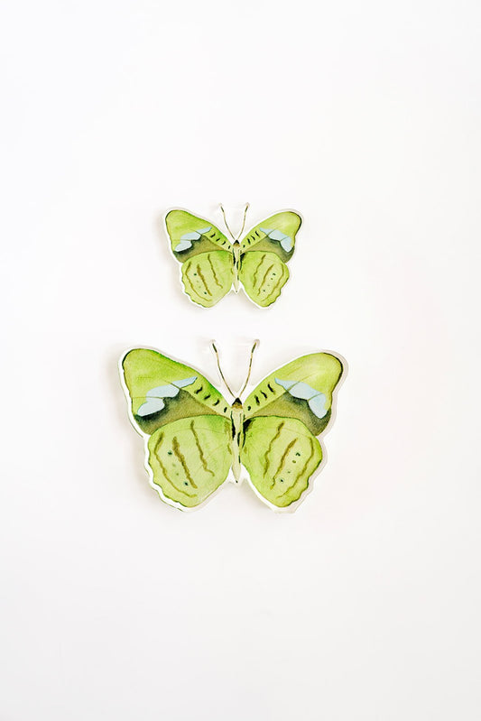Green Butterfly Acrylic Art Block