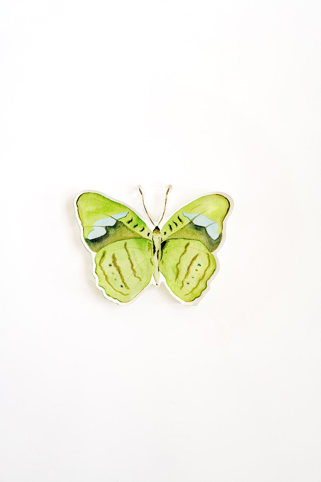 Green Butterfly Acrylic Art Block