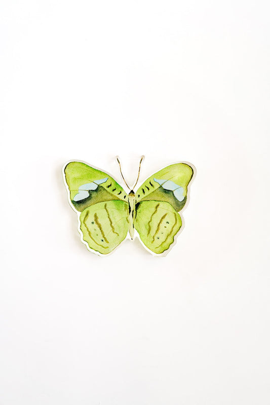 Green Butterfly Acrylic Art Block