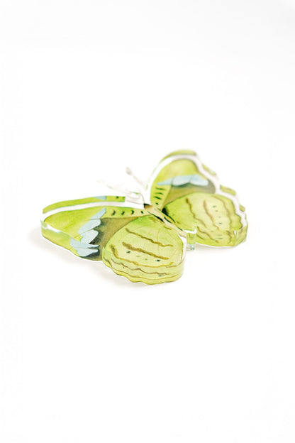 Green Butterfly Acrylic Art Block