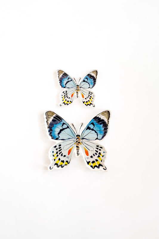 Blue Multi Butterfly Acrylic Art Block