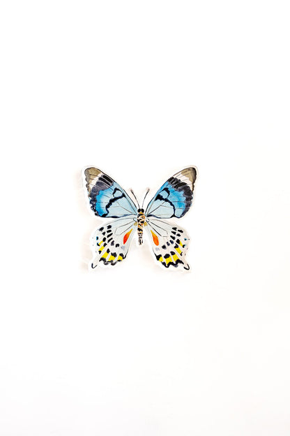 Blue Multi Butterfly Acrylic Art Block