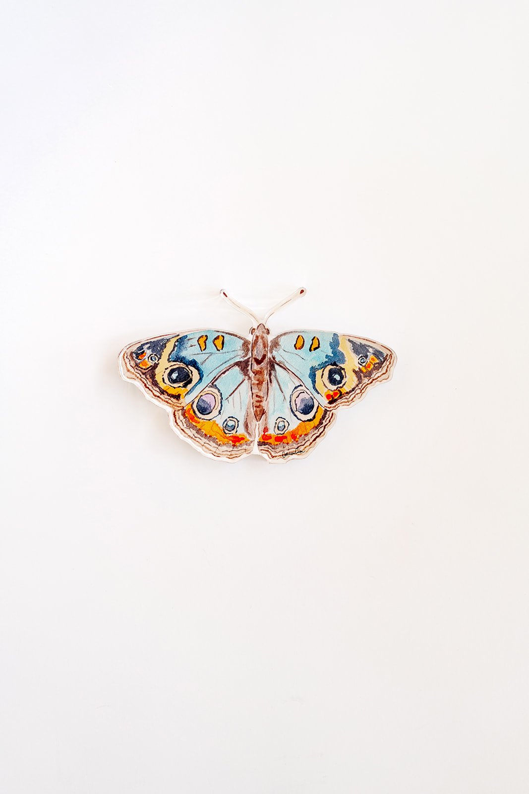 Blue and Orange Butterfly Acrylic Art Block