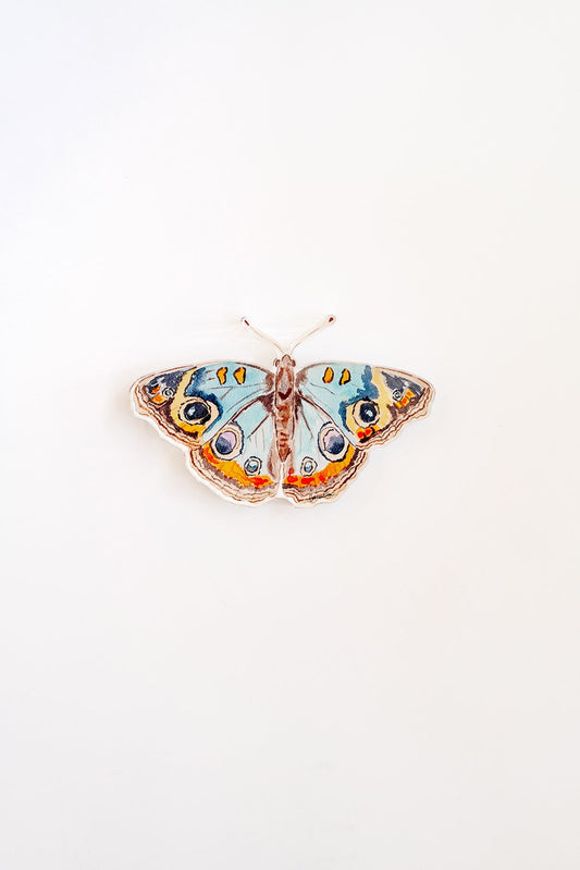 Blue and Orange Butterfly Acrylic Art Block