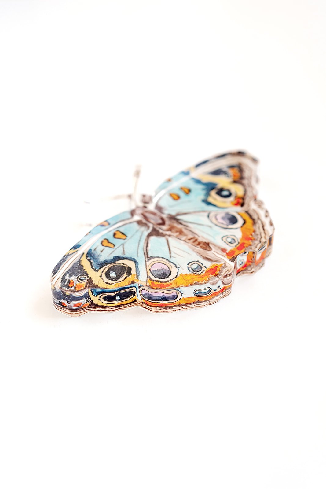 Blue and Orange Butterfly Acrylic Art Block