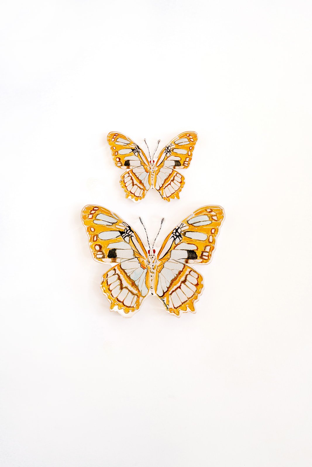 Orange Butterfly Acrylic Art Block