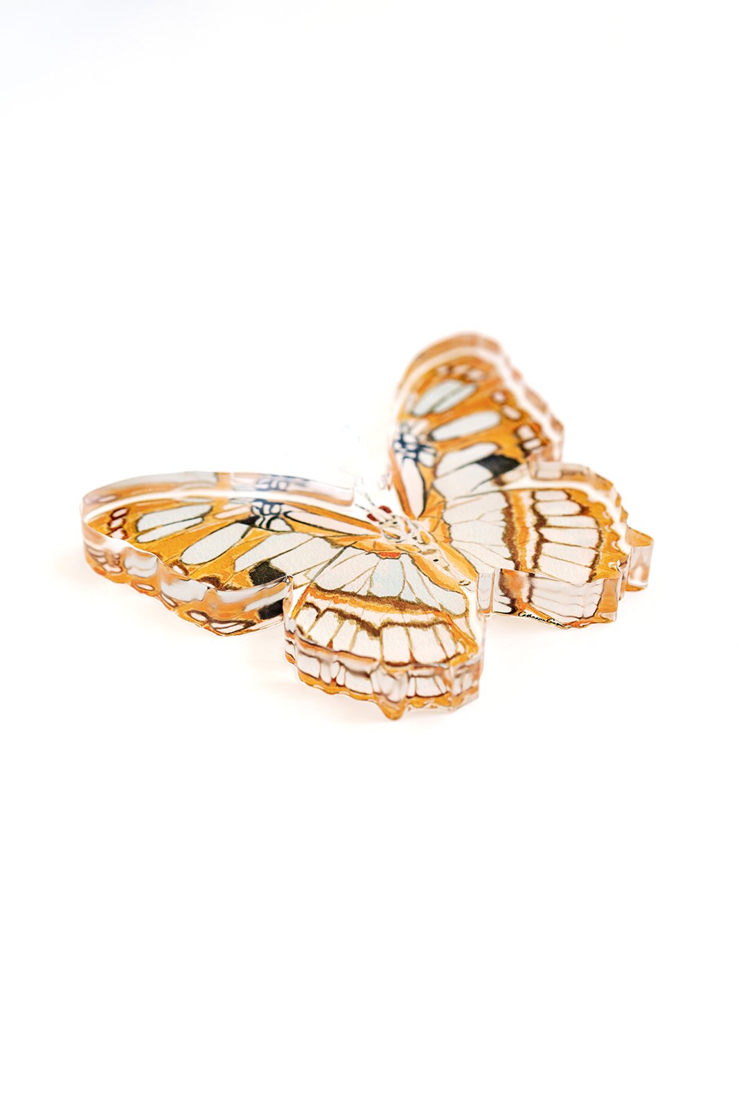 Orange Butterfly Acrylic Art Block