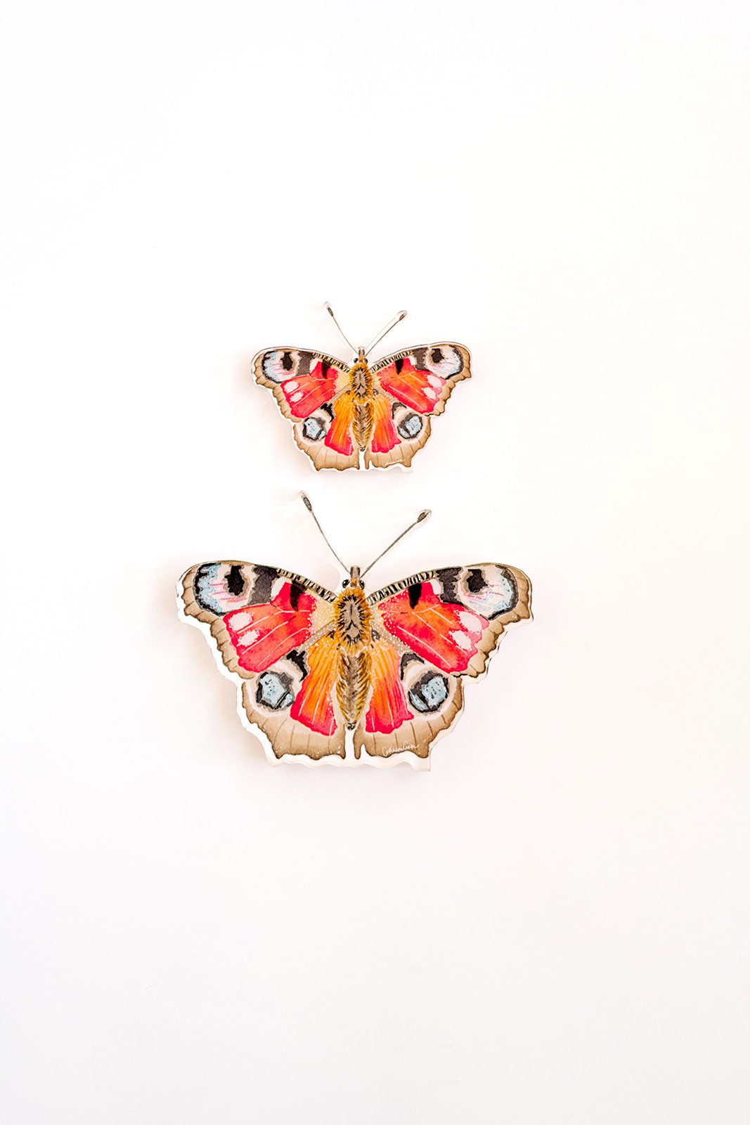 Peacock Butterfly Acrylic Art Block