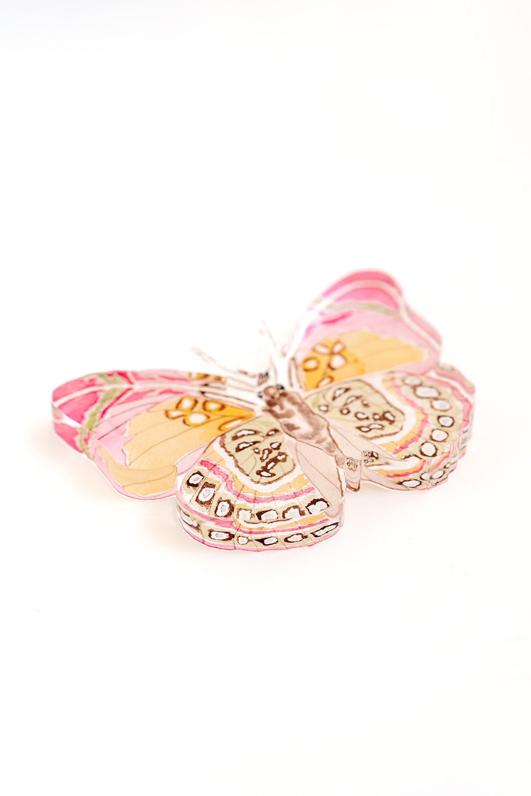 Pink and Green Butterfly Acrylic Art Block