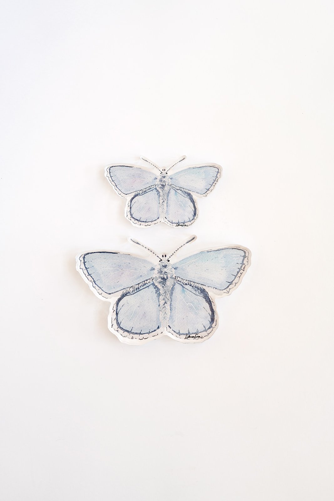 Blue Butterfly Acrylic Art Block