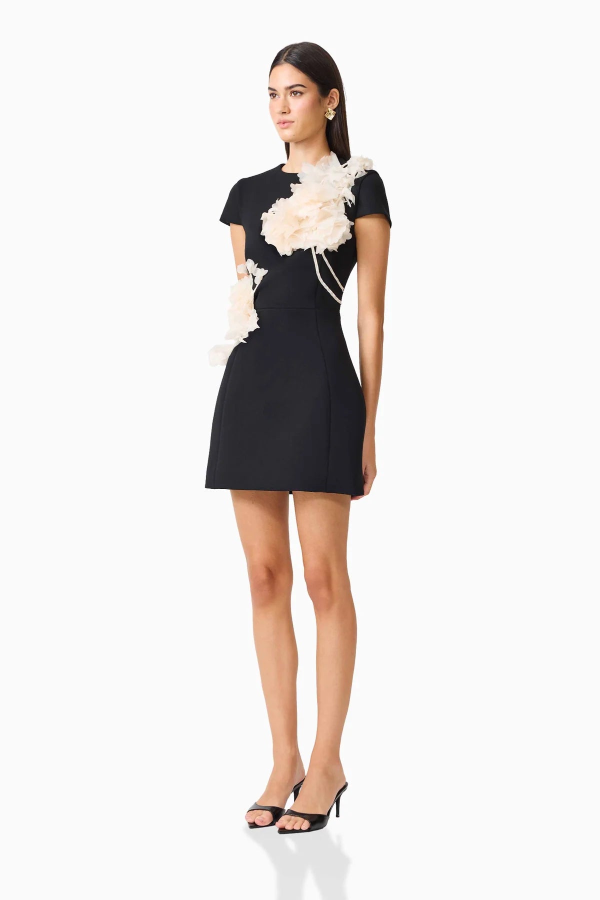Martina Applique Mini Dress in Black
