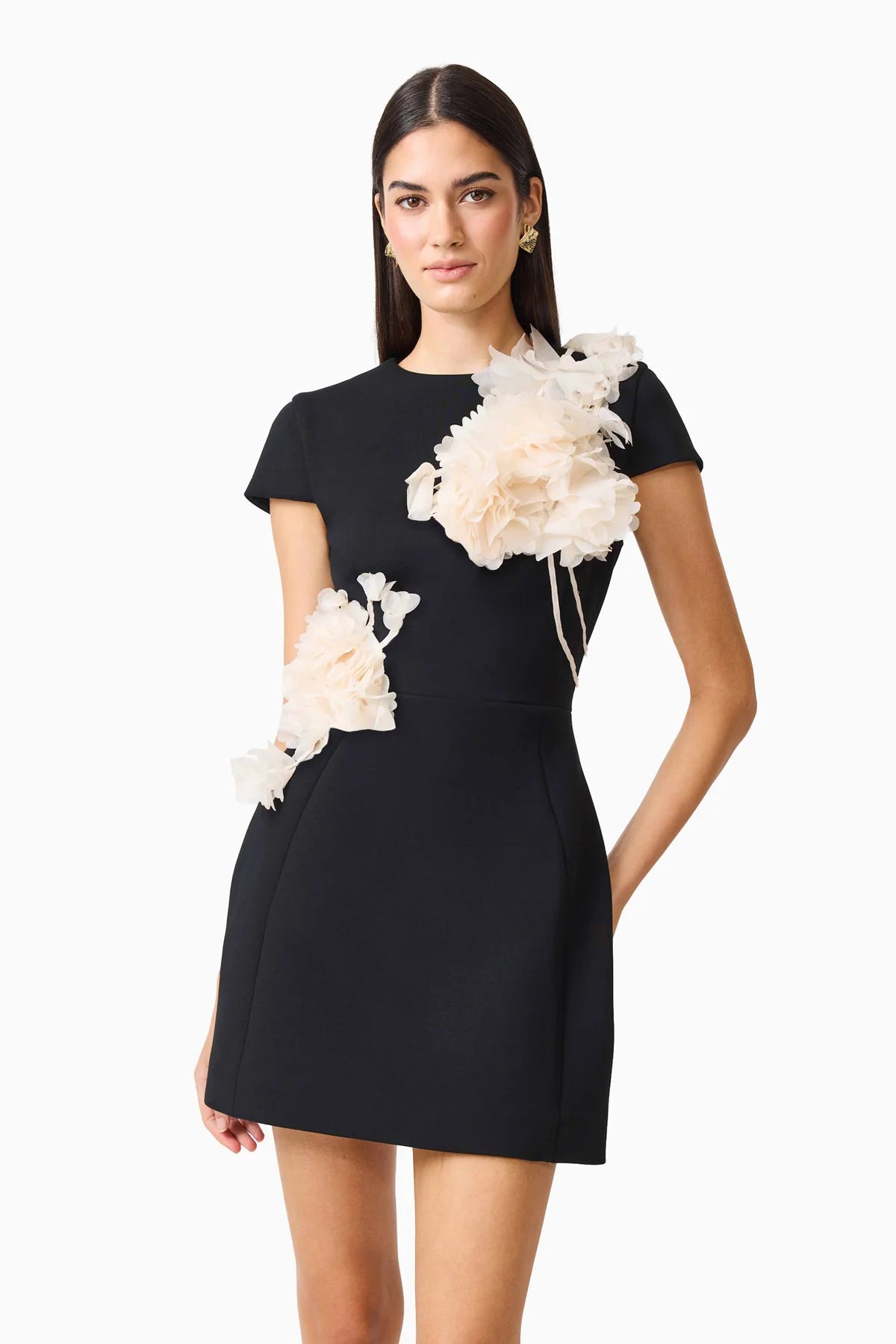 Martina Applique Mini Dress in Black