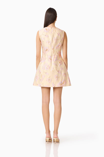 Carys A-Line Mini Dress in Cream