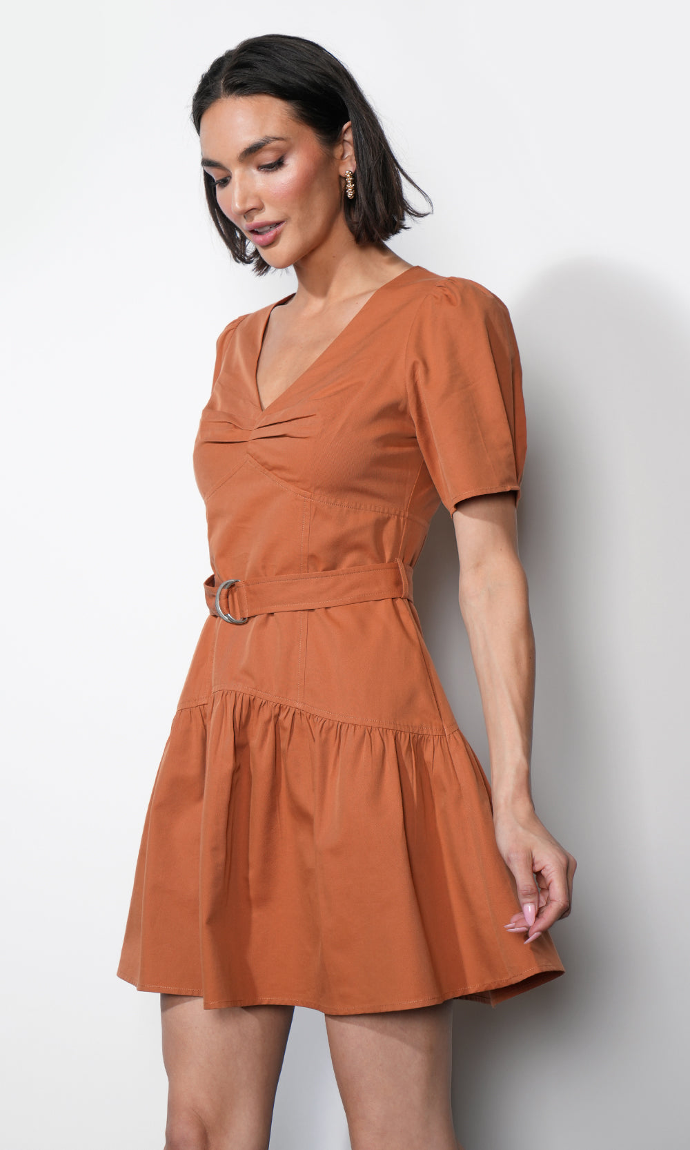 Hayden Puff Sleeve Belted Flare Dress - Clay