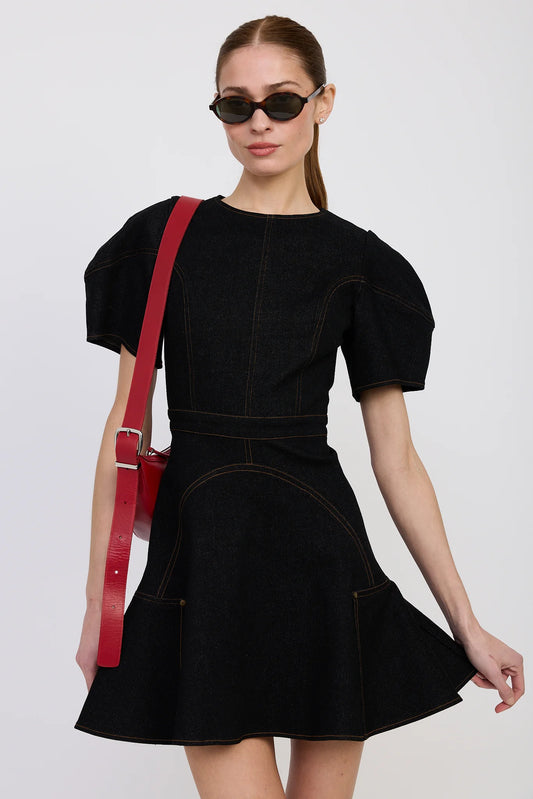 Aailyah Mini Dress - Black