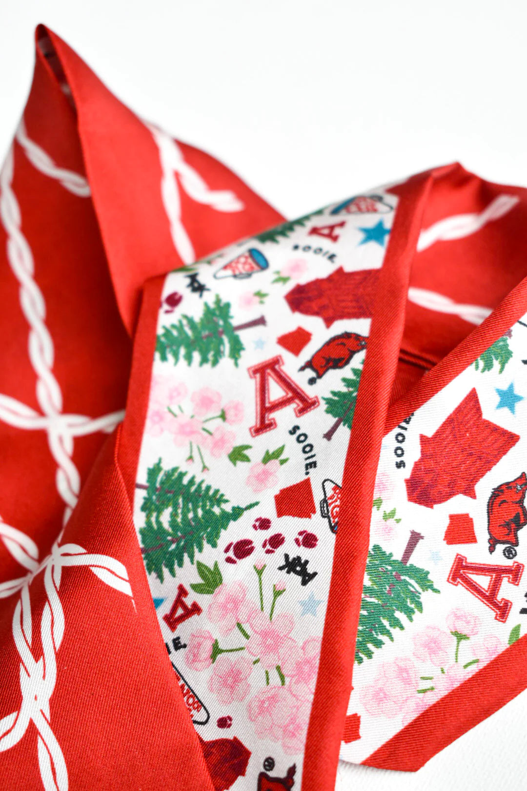 Saturday Silks - Arkansas Razorbacks Skinny Scarf - Spinout